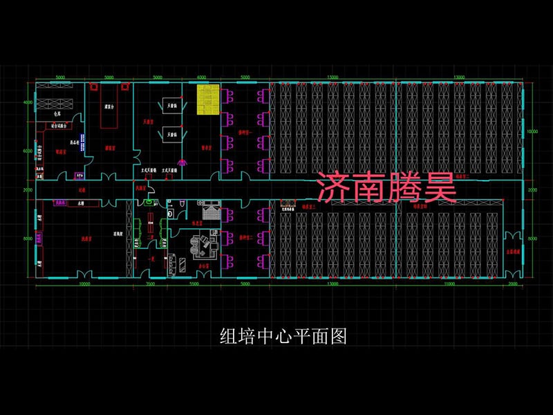 国产麻豆文化传媒精品一区  国产麻豆文化传媒精品一区室