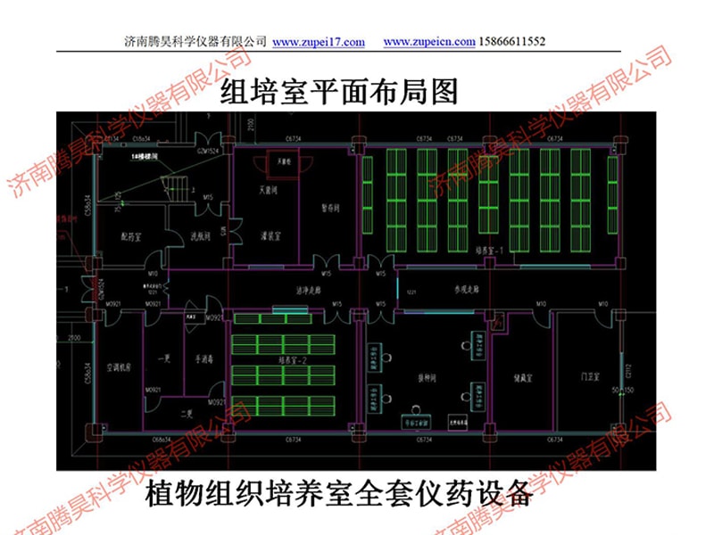 河北植物国产麻豆文化传媒精品一区室