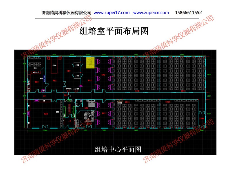 国产麻豆文化传媒精品一区  国产麻豆文化传媒精品一区室