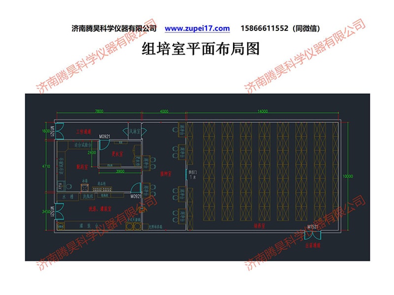 昆明人参果国产麻豆文化传媒精品一区室建设方案