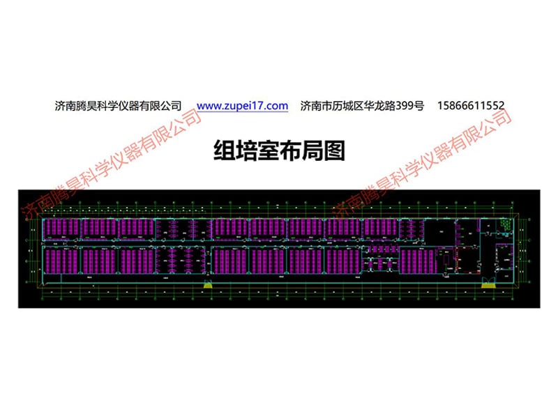 国产麻豆文化传媒精品一区室