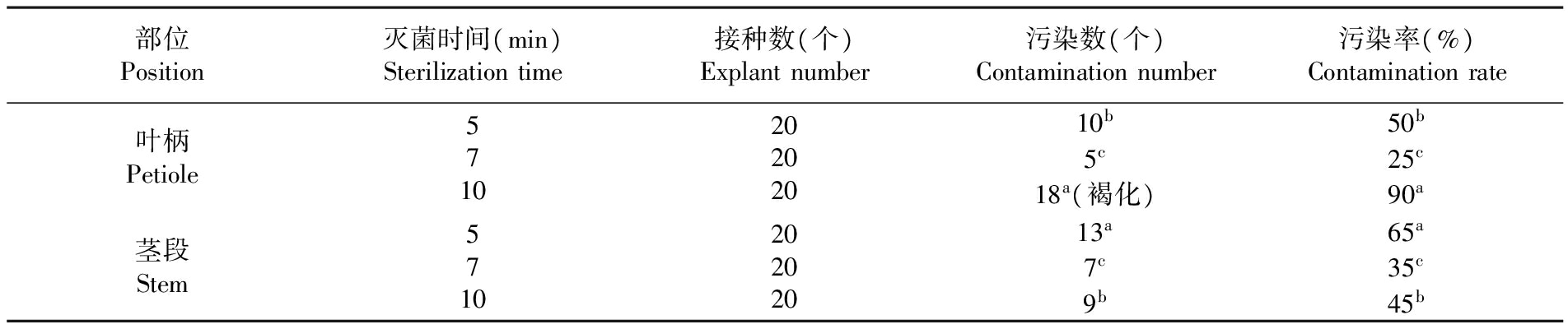 植物国产麻豆文化传媒精品一区设备