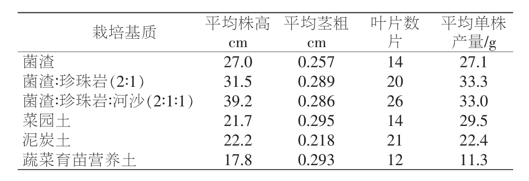 黄精国产麻豆文化传媒精品一区苗移栽技术研究