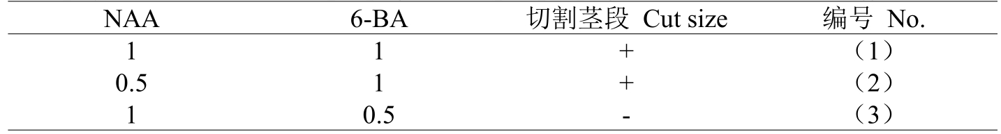 铁皮石斛国产麻豆文化传媒精品一区体系的建立