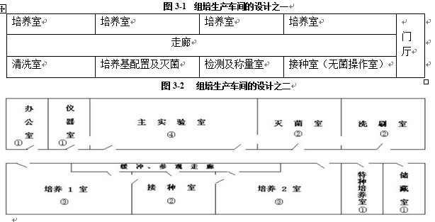 国产麻豆文化传媒精品一区室设计