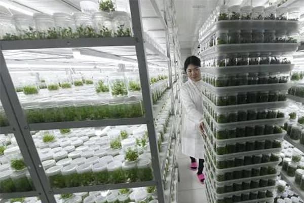 植物国产麻豆文化传媒精品一区